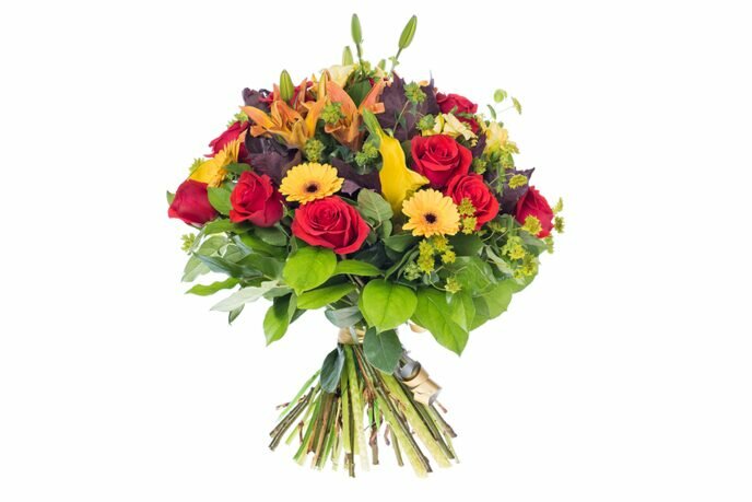 Секрет Чародейки